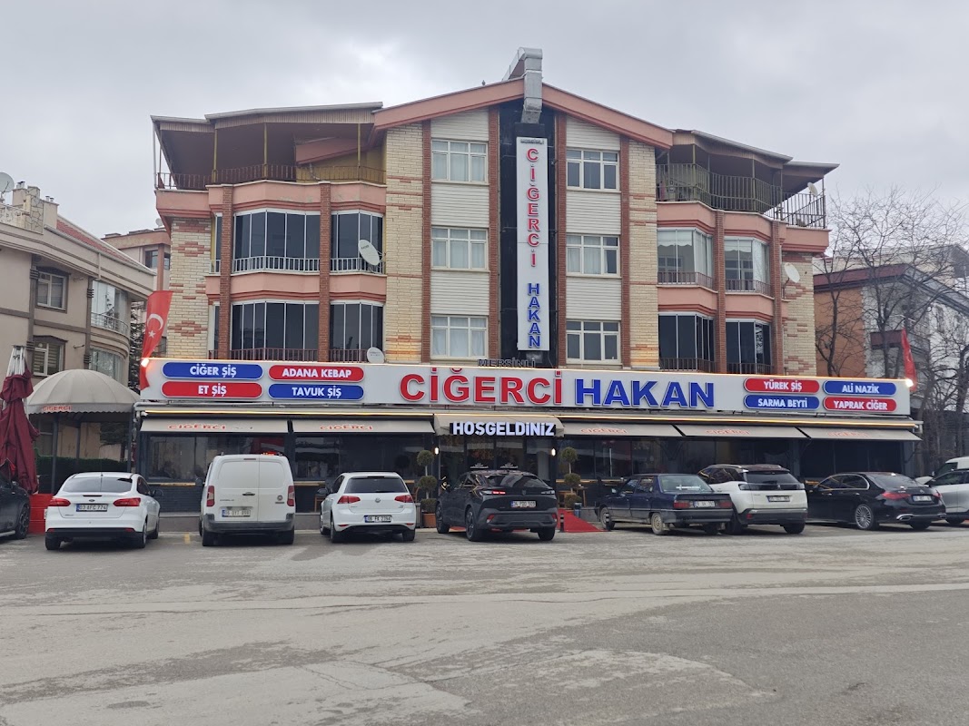 Mersinli Ciğerci Hakan - Polatlı