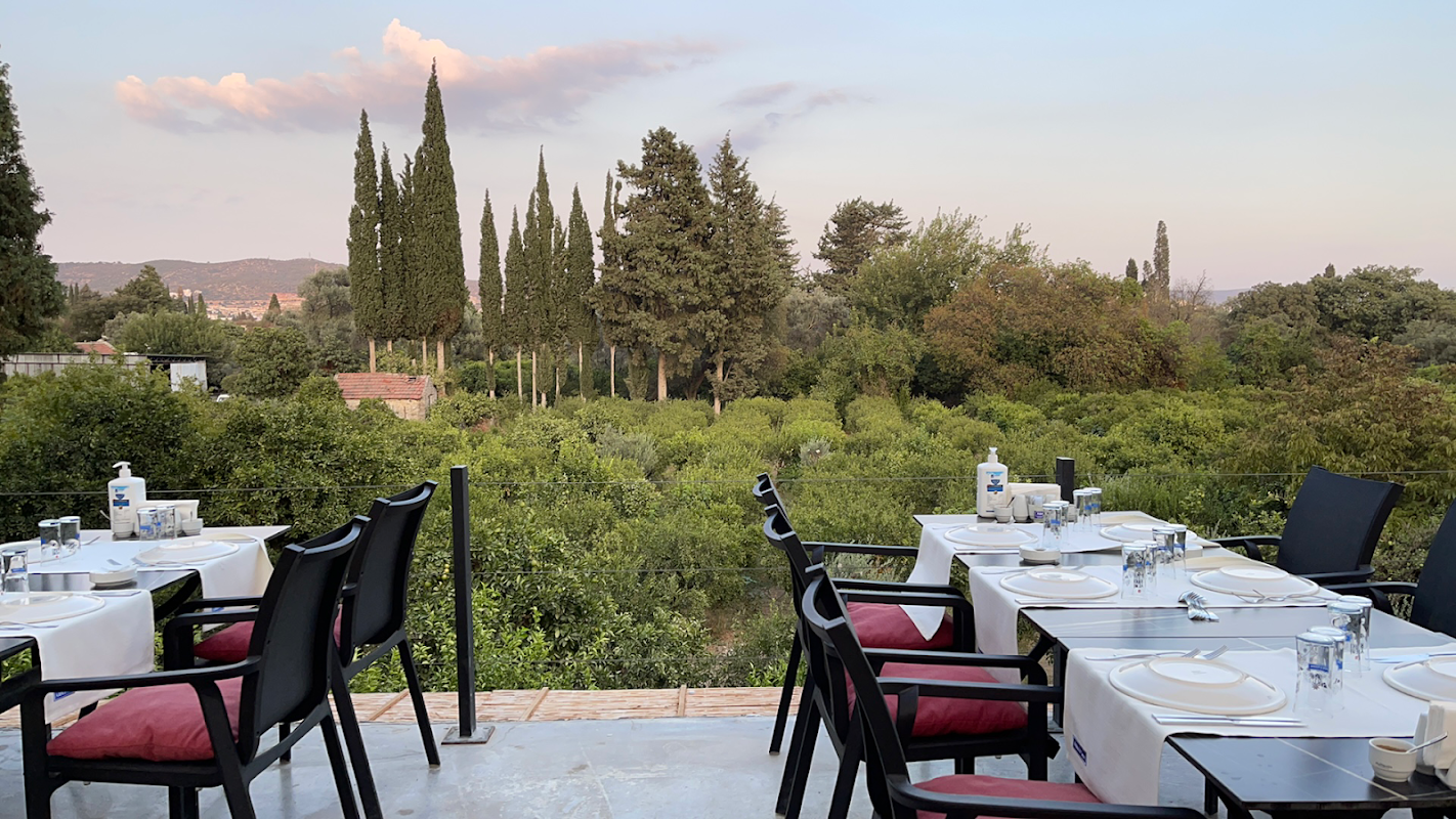 Adana il sınırı bodrum - Bodrum