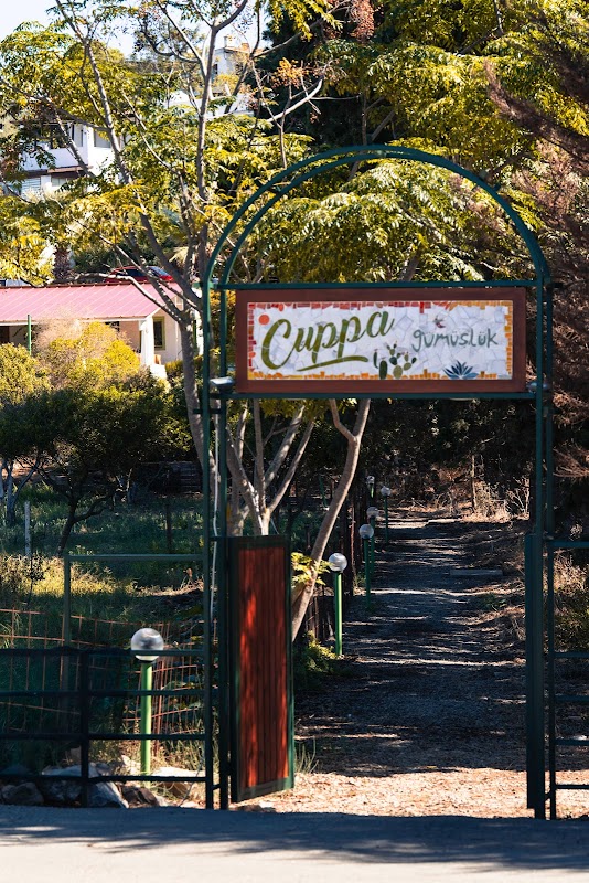Cuppa Gümüşlük - Bodrum