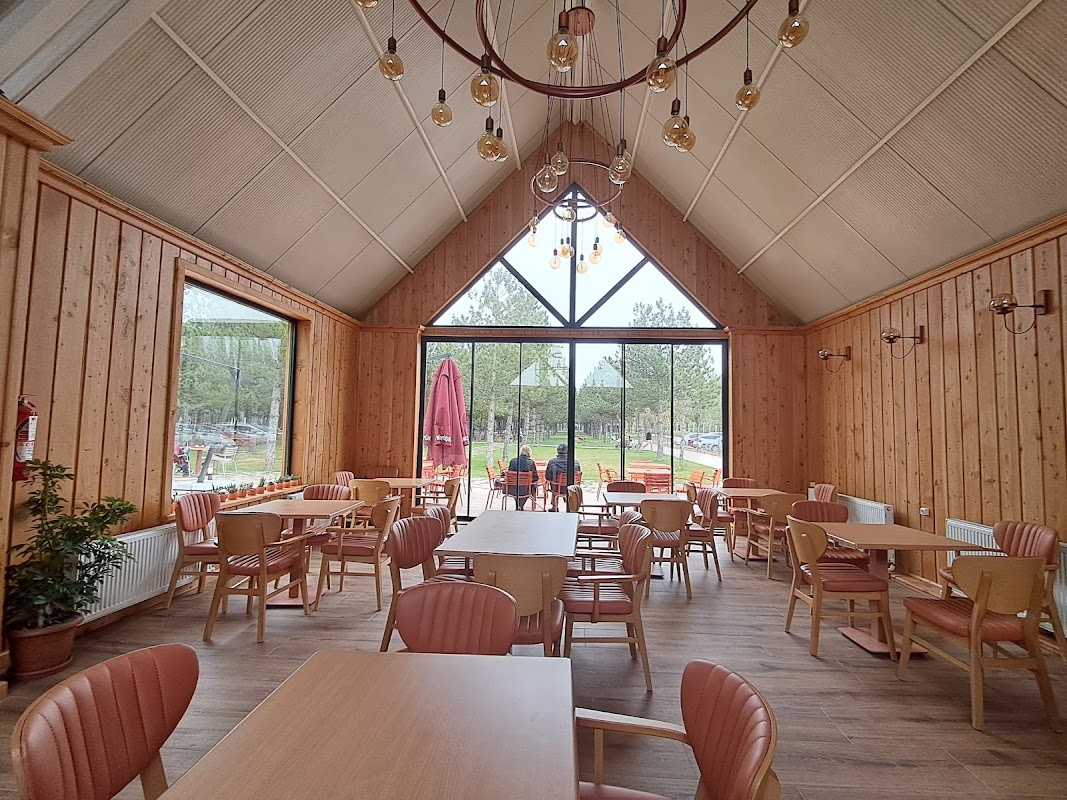 EBB Yaşam Kafe - Odunpazarı