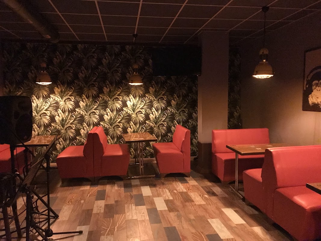 Kaktüs PUB Bayramiç - Bayramiç